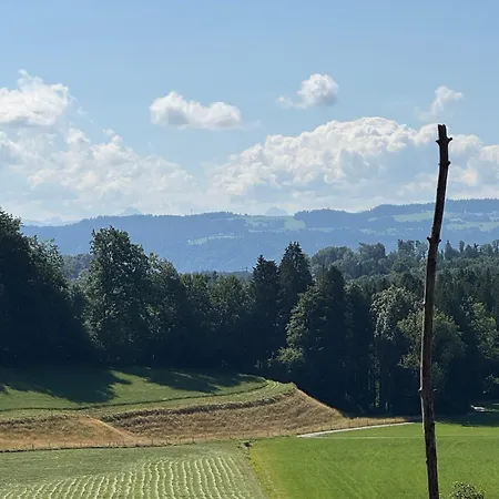 Nahe Des Bodensees דירה *