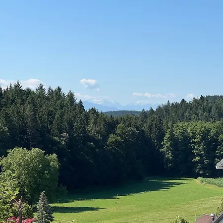 Nahe Des Bodensees 公寓 诺伊基希